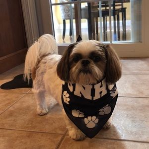 Meet your Posher, Elizabeth